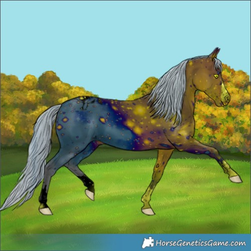 Horse Color:ERROR: UNKNOWN ANOMALY