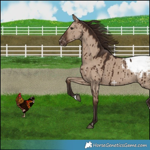 Horse Color:Liver Red Dun Snowcap Brindle 