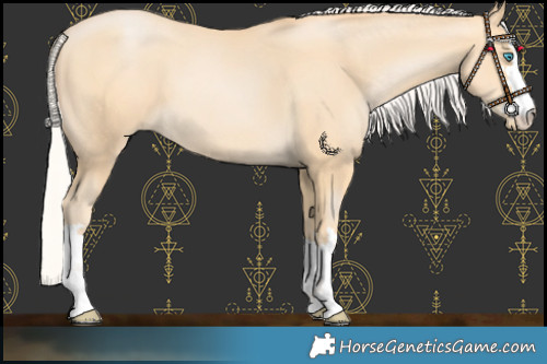 Horse Color:Silver Buckskin Pearl