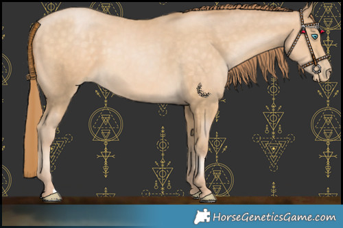 Horse Color:Buckskin Pearl 