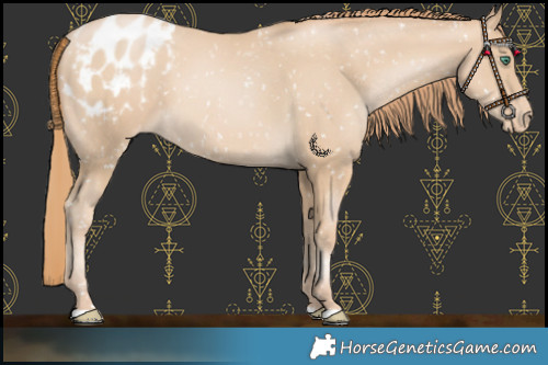 Horse Color:Smoky Black Pearl Blanket