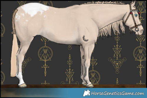 Horse Color:Smoky Creme Varnish 