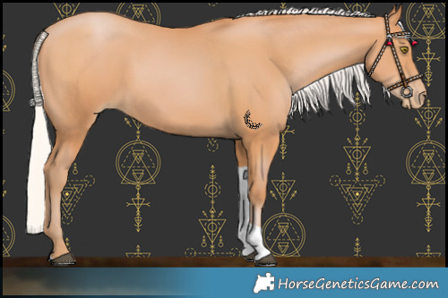 Horse Color:Silver Bay Pearl Tobiano 