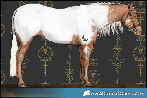Horse Color:Silver Brown Pearl Near Fewspot Rabicano