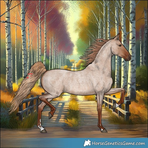 Horse Color:Red Dun Roan 