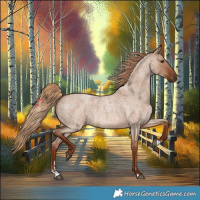 Horse Color:Red Dun Roan 