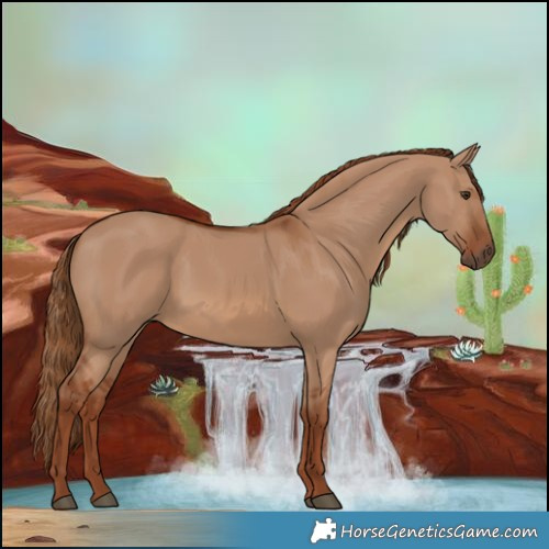 Horse Color:Red Dun 