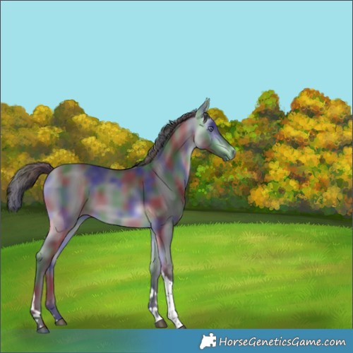 Horse Color:Nacre Buckskin Chinchilla Tobiano 