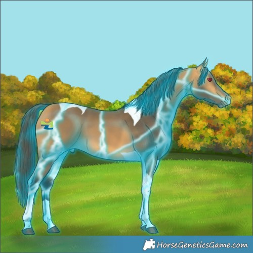 Horse Color:Thunderstruck Buckskin Tobiano 