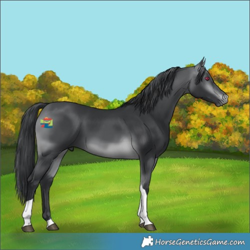 Horse Color:Platinum Brown Chinchilla Tobiano 
