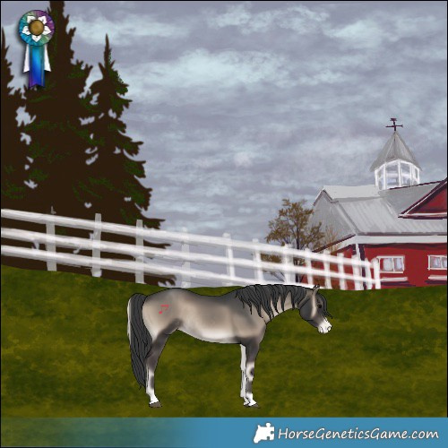 Horse Color:Blue Onyx Varnish Rabicano 