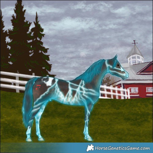 Horse Color:Thunderstruck Brown Varnish 