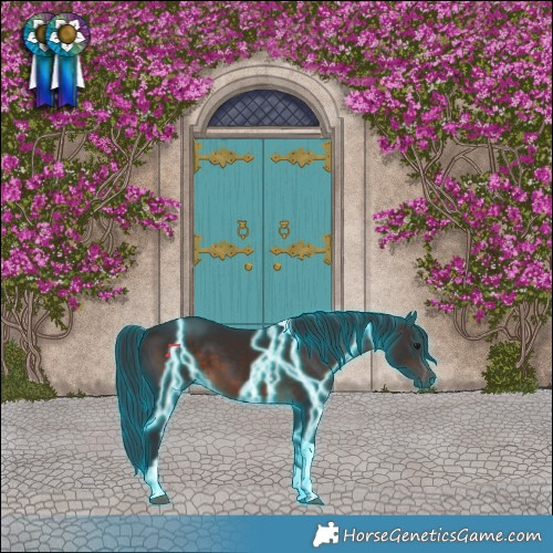 Horse Color:Thunderstruck Brown Tobiano