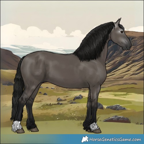 Horse Color:Gray Grullo