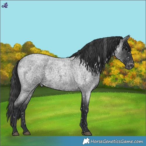 Horse Color:Blue Roan Snowflake Varnish