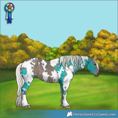Horse Color:White Spotted Silver Black