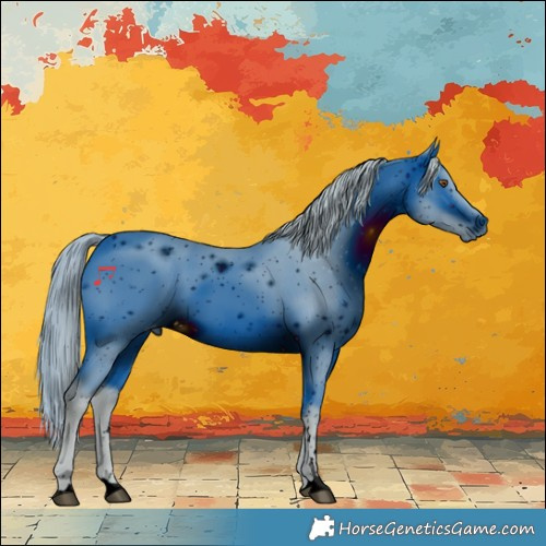Horse Color:ERROR: UNKNOWN ANOMALY
