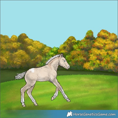 Horse Color:Silver Perlino Dun Snowcap Rabicano 