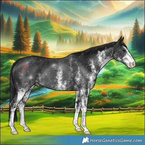 Horse Color:White Spotted Black