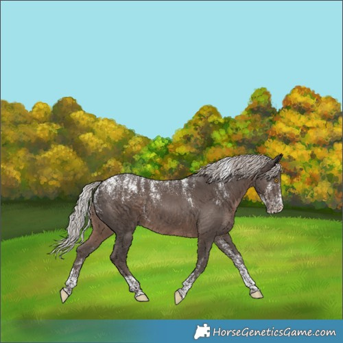 Horse Color:Powder White Silver Black