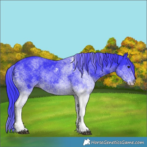 Horse Color:Watercolor White Spotted Black 