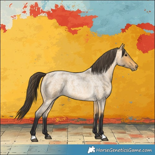 Horse Color:Buckskin Roan 