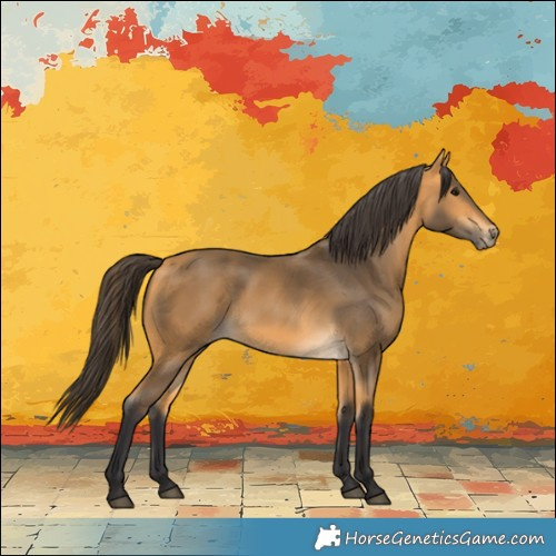 Horse Color:Buckskin Rabicano 