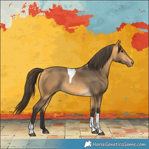 Horse Color:Buckskin Tobiano Rabicano 