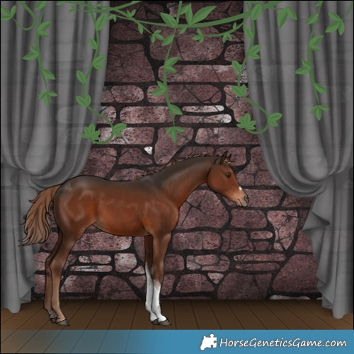 Horse Color:Liver Chestnut Tobiano