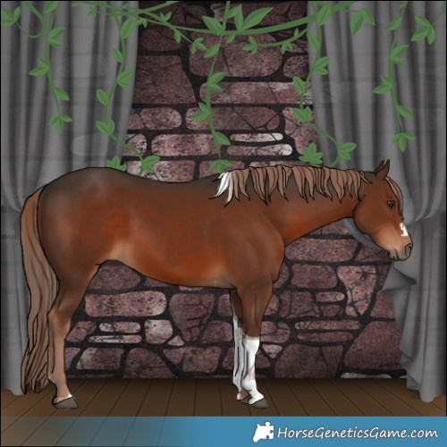 Horse Color:Liver Chestnut Tobiano 