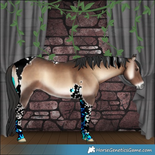 Horse Color:Liver Red Onyx Tobiano