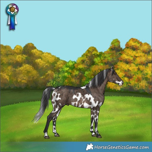 Horse Color:Brown Dun Skewed LP Spotted Brindle