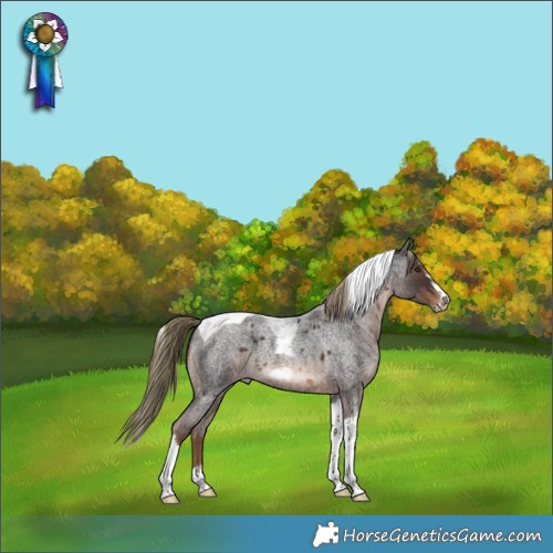 Horse Color:Liver Red Roan Splash Tobiano Frame