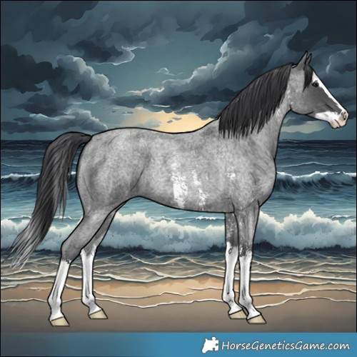 Horse Color:Blue Roan Sabino Splash
