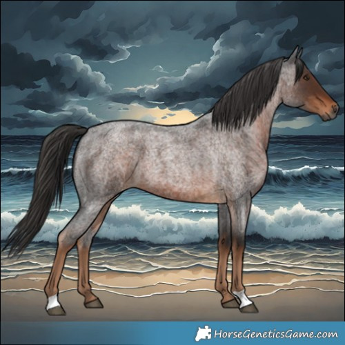 Horse Color:Gray Liver Red Roan
