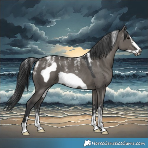 Horse Color:Powder White Grullo Frame 