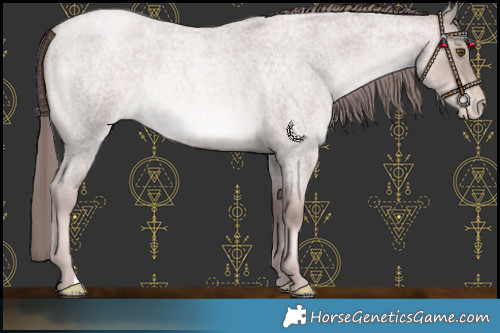 Horse Color:Platinum Liver Red Roan Pearl