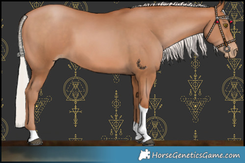 Horse Color:Silver Brown Pearl Tobiano