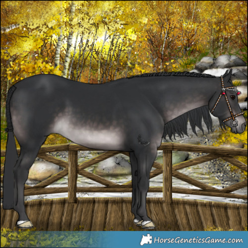 Horse Color:Platinum Brown 