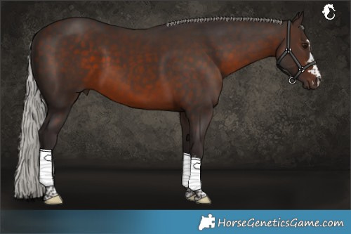 Horse Color:Silver Brown 