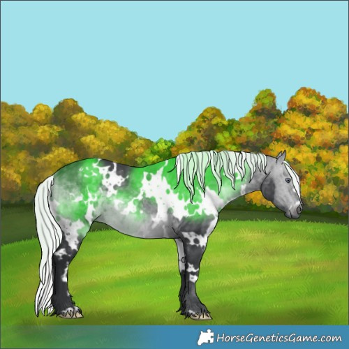 Horse Color:White Spotted Silver Brown Chinchilla 