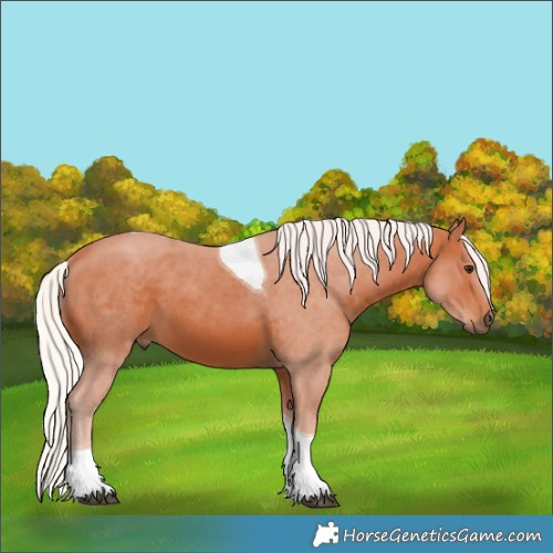 Horse Color:Silver Bay Tobiano 