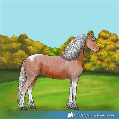 Horse Color:Silver Brown Tobiano