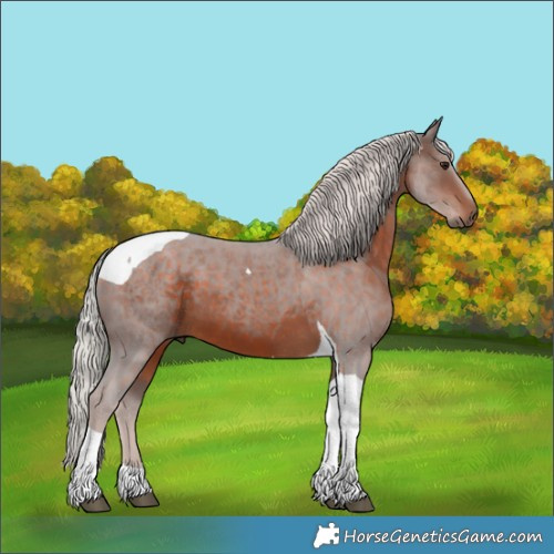 Horse Color:Silver Brown Tobiano