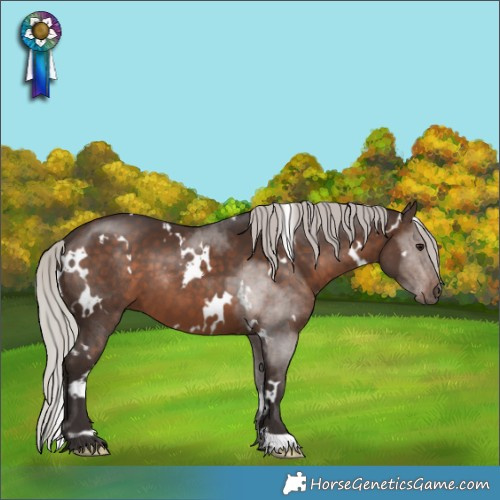 Horse Color:White Spotted Silver Brown