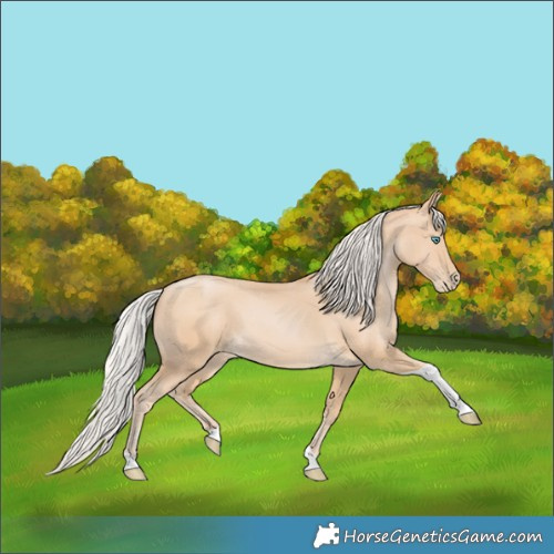 Horse Color:Silver Smoky Black Pearl Tobiano
