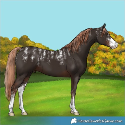 Horse Color:Powder White Liver Chestnut 