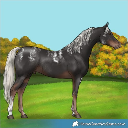 Horse Color:Powder White Liver Chestnut Mushroom Rabicano 
