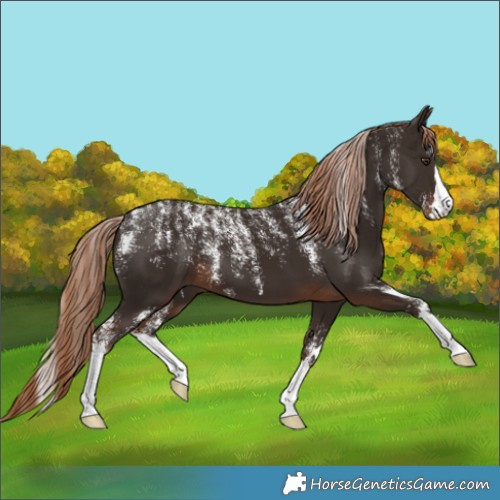 Horse Color:Powder White Liver Chestnut 
