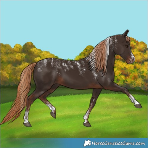 Horse Color:Powder White Liver Chestnut
